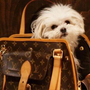 Louis Vuitton Monogram Baxter PM Travel Dog Carrier Tote
